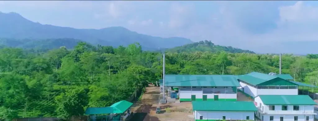 Transformation du thé noir CTC directement sur la plantation familiale au Nagaland en Inde